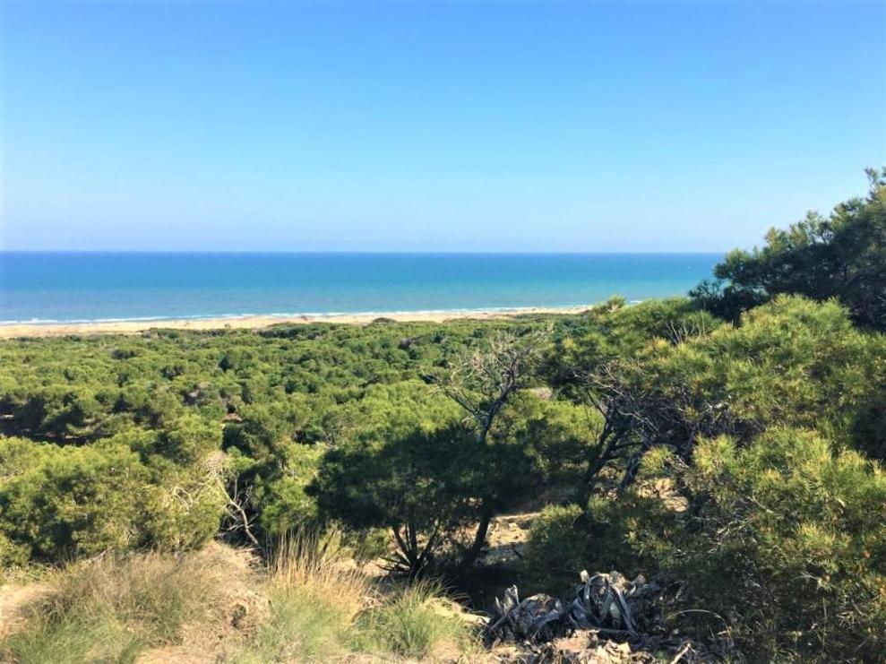 Casa Jirafa Con La Vista Villa Gran Alacant Buitenkant foto